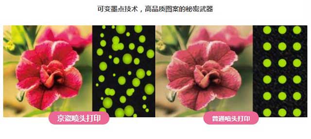  青青草视频免费看数码